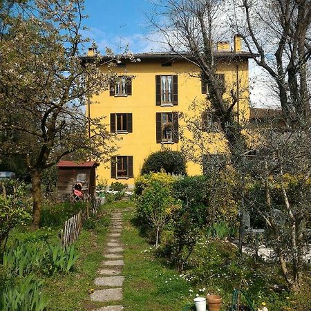 Il Gelsomino Daire Villa Guardia Dış mekan fotoğraf